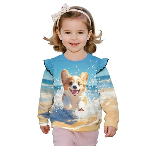 Toddler Girls Sweatshirts Size 1-8 Long Sleeve Crew Neck Sweatshirts Active Sportswear Tee Tops