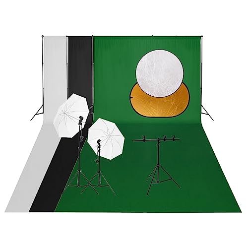 vidaXL Kit de Estudio fotográfico con Set de Luces, Fondo y Reflector