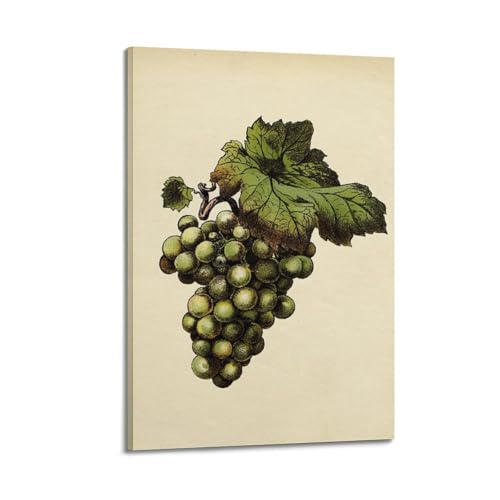 Gravure raisins verts JIDUHON sur toile supérieure cadre rétro 20x30
