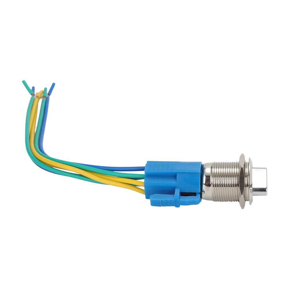 AUTOVIC Interior Light Plate & Switch with Amber Watermelon Light Kit for Peterbilt Truck 359 379 389 Cab Dome Lights Panel Frame