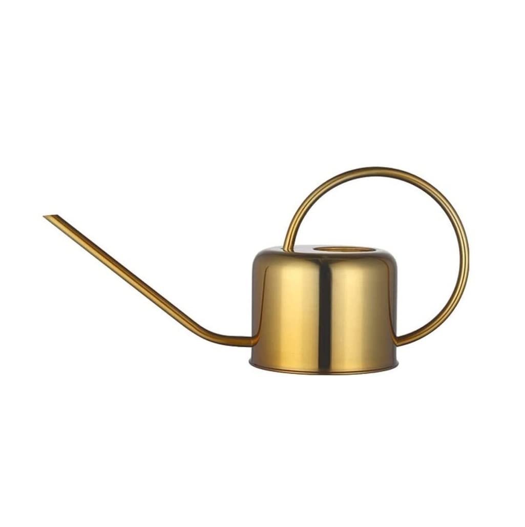 Regadera de Jardín Regadera De Acero Inoxidable, Regadera De Jardinería En Maceta para Regar Plantas, Regadera De Flores Regadera de Riego (Color : Gold, Size : 1L)