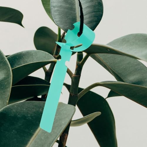 Étiquettes de jardin pour extérieur résistantes aux intempéries - 3