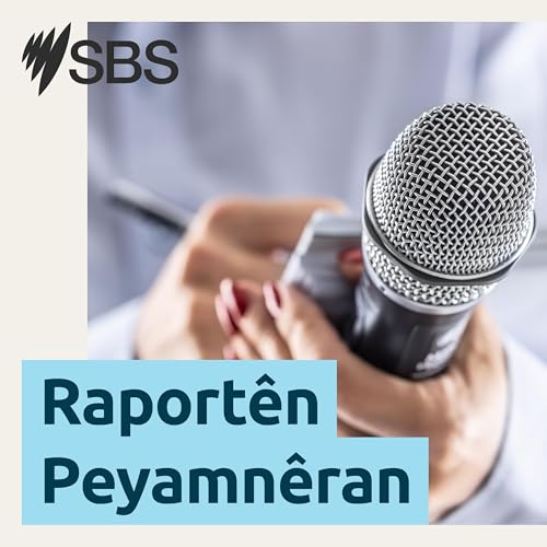 Page de couverture de Raportên Peyamnêran