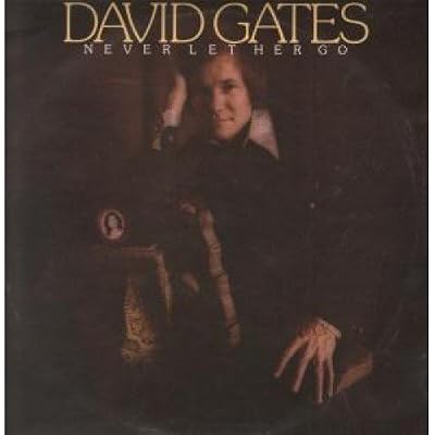 NEVER LET HER GO LP (VINYL) UK ELEKTRA