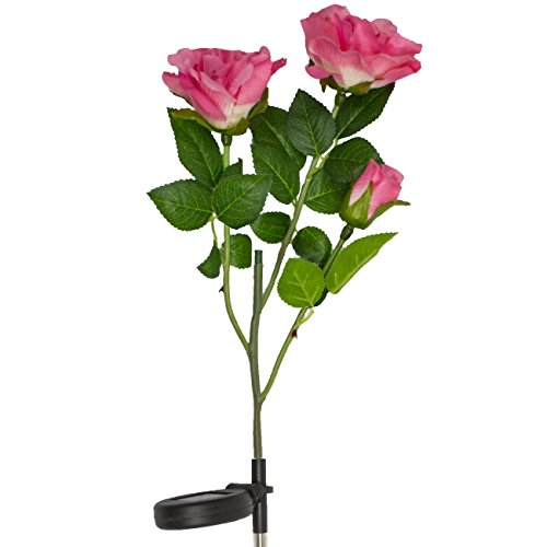 LED Concepts SLR-RSPI Solar Powered Garden Outdoor Decorative Landscape Lights Year, Pink Rose