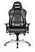 AKRacing Chair Master Premium Gaming Stuhl, PU-Kunstleder, Schwarz/Karbon, 5 Jahre Herstellergarantie
