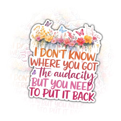 3 Pcs I Don’t Know Where You Got The Audacity But You Need to Put It Back Stickers 3 Inches – Funny Sassy Quote Floral Vinyl Decals for Journal, Laptop, Mirror, Feminist Energy, Bold Personality Gift