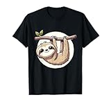 Sloth on a branch
