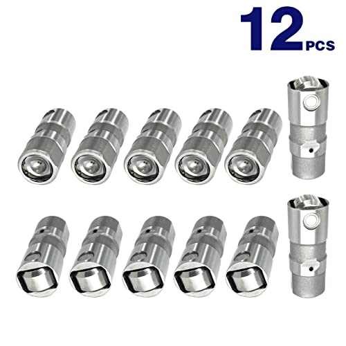 Partsflow Set Of 12 Hydraulic Roller Valve Lifter Kit For Buick Century Lucerne Regal For Chevy Beretta Corsica Equinox For Olds Achieva Alero For Pontiac Aztek G6 For Saturn Aura Relay Vue Ht-2270 #TOP1