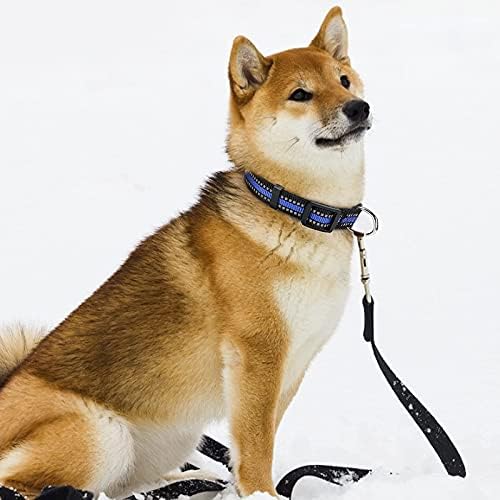 Molain Reflective Dog Collar, Breathable Nylon Adjustable Pet Collar with Safety Quick Release Locking Buckle Suitable for Dogs Cats, Blue 28-45cm(11-18")