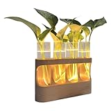 Pflanzenvermehrungsstation – 18×13,3 cm große Vermehrungsstation, Warmlicht-Display | Dekoratives Blumenterrarium mit Leichtigkeit, Desktop-Retro-Pflanzenterrarium für Hydrokulturpflanzen, Blumensteck