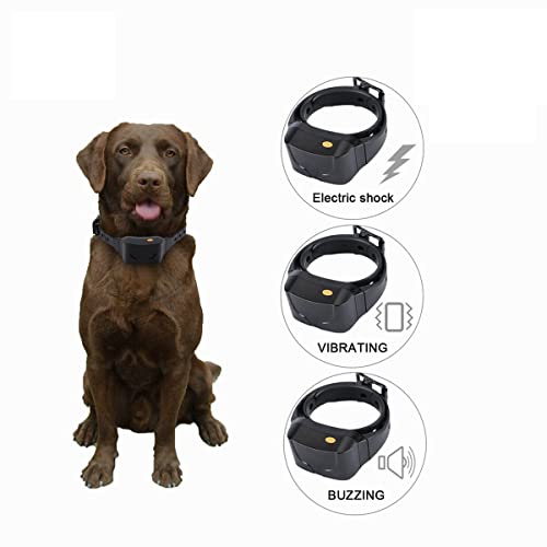 QIYUDS Dog Training Collar Full Kit