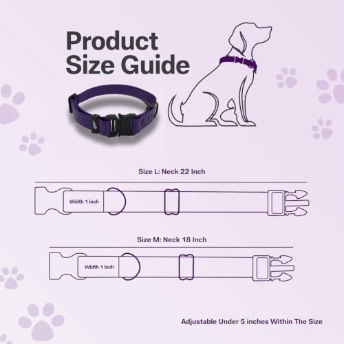 Image of Adil's Biothane Waterproof Dog Collar, Dog Leash & Collar Leash Combo | Heavy Duty TPU Coated Webbing | Adjustable Quick Release Buckle | Odour Resistant (Purple, L-22, Collar Only)