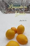 Limonada en Guadix