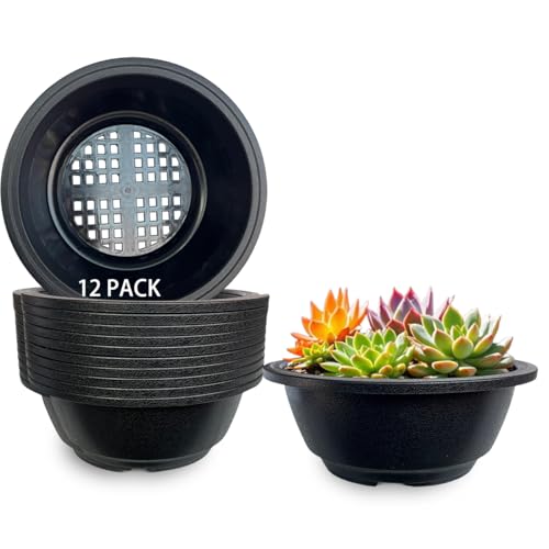 MUZHI 12PACK Matte Black Succulent Bonsai Round Planter Bowl Pot with Drainage, Plastic Cactus Flat...