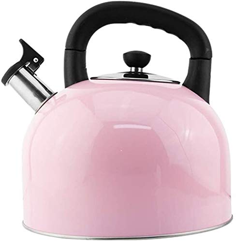 Teapot en acier inoxydable durable SHISHI, haute résistance 4L