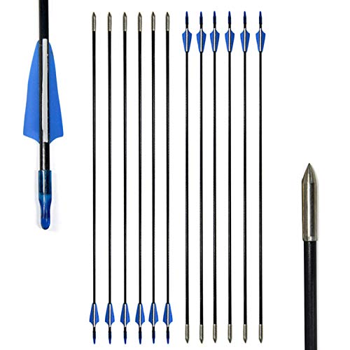 AMEYXGS 24/12 pcs Tiro con Arco de Fibra de Vidrio Flechas Flechas de Destino Flechas Principiantes para Arco Largo Arco Recurvo (12 pcs)