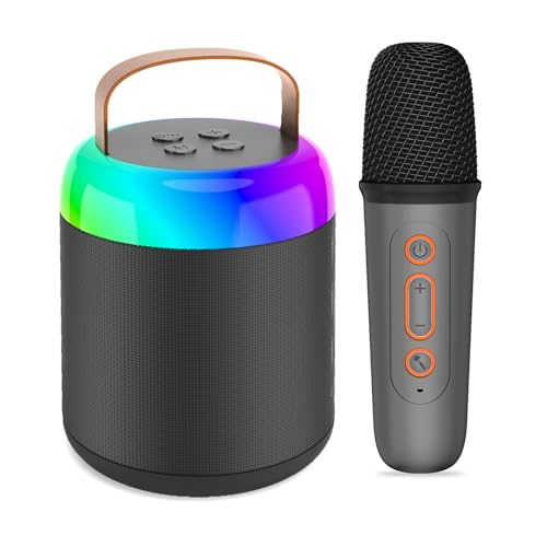 Microphone sans fil portable pour karaoké et audio domestique - Chine Haut-parle Microphone sans fil portable pour karaoké et audio domestique - Chine Haut-parle