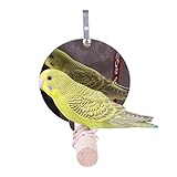 spiegel buiten hangen  Bouncevi Haustier Vogel Spiegel Holz Schaukel Spiel Spielzeug Spiegel Hängen Am Käfig Für Papagei Wellensittiche Sittich Nymphensittich Lovebird