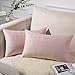 Topfinel Housse Coussin 30x50 cm Rose Poudré Décoration Lit Chambre Fille Set de 2 Velours Doux Motif Geometrique Gaufrage à Carreau Petit Housse de Coussin Rectangulaire Canapé Salon Scandinave Boho