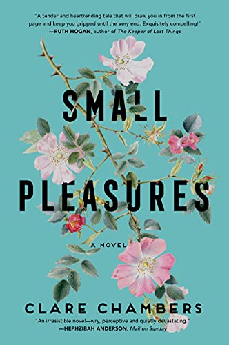 Small Pleasures: A Novel view 2