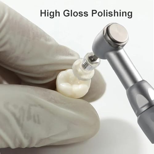 Image of Dental Polishing Paste-Impregnated Disc Composite Polishing Disc Kit Felt Finishing Buff 1 inch Discs with Mandrel High Gloss Polishing (8000-12000rpm /min)