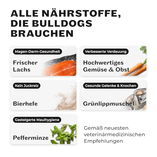 HEY HOLY Premium Nassfutter für Bulldoggen | 18x 375g Hundefutter für ausgewachsene Bulldoggen mit Lachs | Hochverträglich aus natürlichen Zutaten