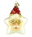Old World Christmas Starry Night Santa Glass Ornament