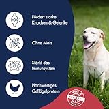 DR.CLAUDER’S - Best Choice Adult Large | Trockenfutter für große, ausgewachsene Hunde zur Unterstützung von Knochen und Gelenken. Weizenfreies Alleinfutter im Beutel | 12,5kg Geflügel