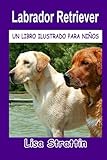  Labrador Retriever (Libros Ilustrados para Niños)