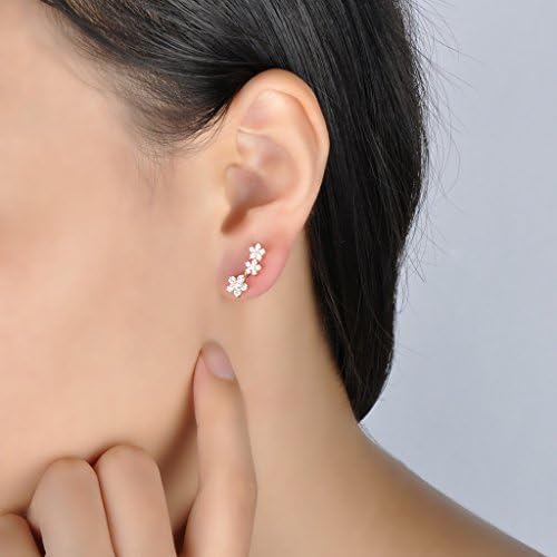 Yumilok Roségold 925 Sterling Silber Zirkonia Stern Mond Asymmetrische