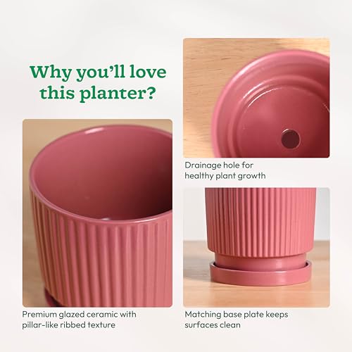 Image of UGAOO Roma Ceramic Flower Pot for Table & Desk, 5 Inch - Magenta
