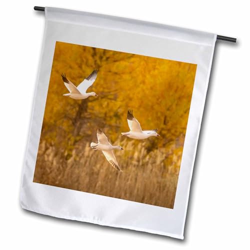 3dRose USA, New Mexico,Wildlife Refuge. Snow geese flying. - Flags