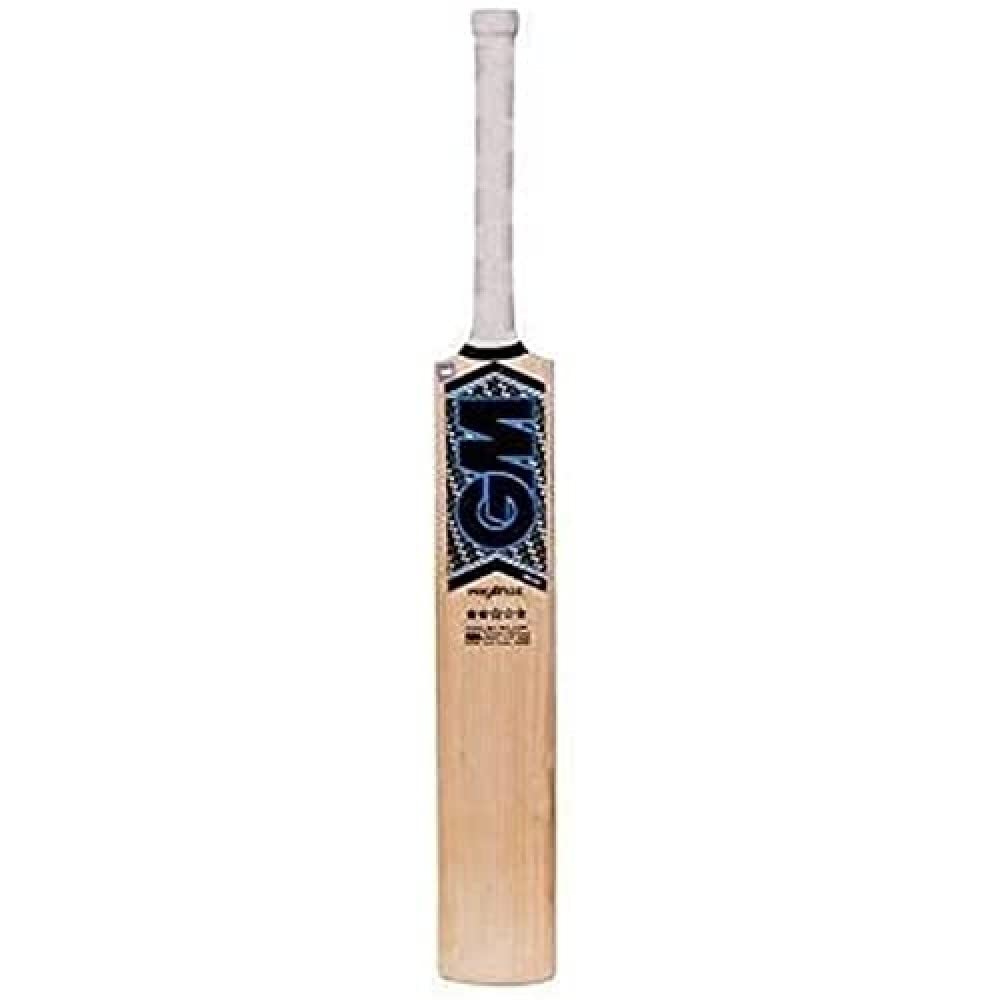 GM Neon Prestige English Willow Cricket Bat Short Handle Mens (B071HNTPHT) Amazon Price History, Amazon Price Tracker