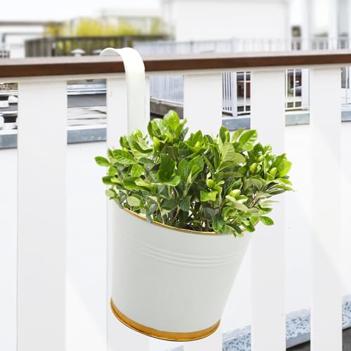 ecofynd 7 Inches Halley Railing Planters for Balcony, Hanging Pot...