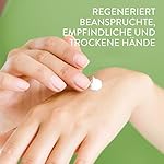 CETAPHIL Repair Regenerierende Handcreme, 50ml, Für beanspruchte, empfindliche und trockene Hände, Regeneriert nach belastender Tätigkeit, Mit Provitamin B5, Vitamin B3, Vitamin E & Nachtkerzensamenöl – Bild 3