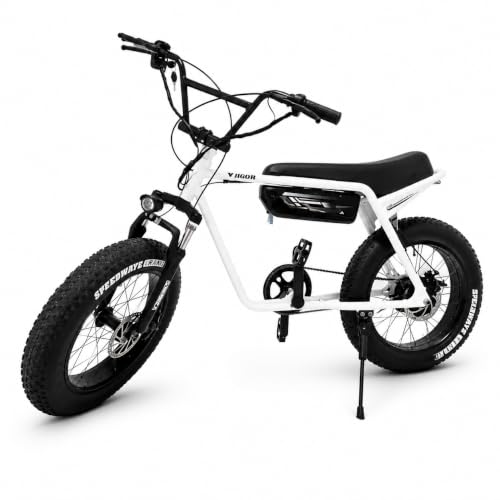 Image of VIGOREBIKE ZE (White)