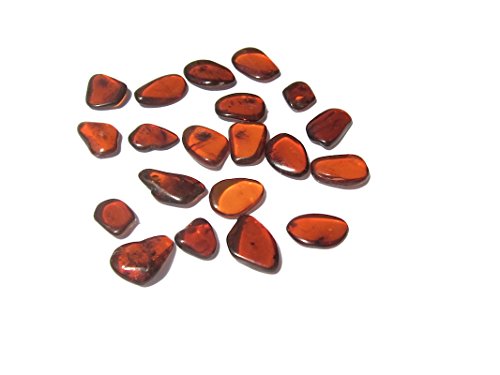 Genuino Ámbar Oscuras Planas Muy Pequeño Juego de 20 Piedras