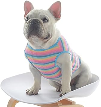 Amazon 24hours フレンチブルドック 犬服 柴犬 ドックウェア フレブル 多頭飼いに ボーダー 定番 可愛い ペット用品 New ペット服 24hours シャツ パーカー 通販 Amazon 24hours フレンチブルドック 犬服 柴犬 ドックウェア フレブル 多頭飼いに ボーダー 定番 可愛い ペット用品 New ペット服 24hours シャツ パーカー 通販