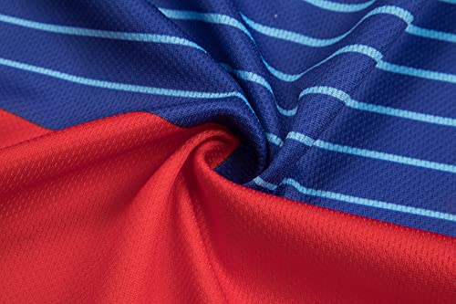 Coconut Ropamo CR Men's Long Sleeve Cycling Jersey with Zipper Pockets Bike Shirt Cycle Clothing Quick Dry Breathable (L, Red/Blue)