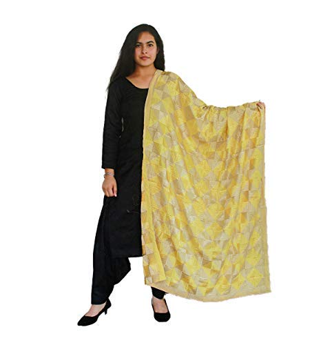 Sahej SuitsChinon Phulkari Bagh