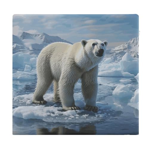 Coussin de sol de méditation 37x35 cm imprimé ours polaire glacé