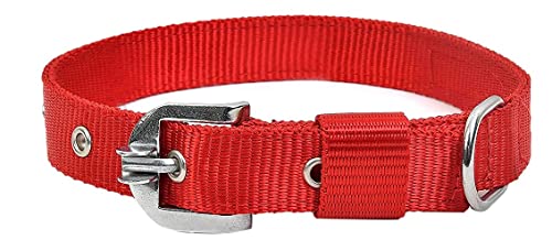 RvPaws Combo Nylon Dog Belt - 1 Inch Collar with Heavy Dog Chain 63 Inch Lengthy Dog Collar Chain Adjustable (Collar Neck Size 16-20 Inch) (Red) - Image 6