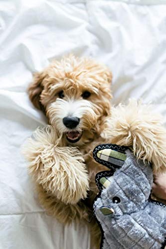 Zippy Paws - Z-Stitch Grunterz Durable Stuffed Squeaky Dog Toy - Ronny The Rhino #TOP2