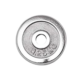 Absport 50193 A1-18D Chrome Iron Plate, 2.7 lbs (1.25 kg)