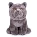 Tiny Heart Simulation British Cat 11inch Grey Shorthair Cat Plush Toy - Cute Adorable Kawaii Cuddly Realistic Super Soft Stuffed Animal Kitten Gift for Kids Girls Boys Home Decor