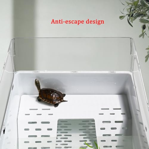 Flushbay Tanque de tartaruga com plataforma de frade, áreas multifuncionais, tanque de aquário de ta