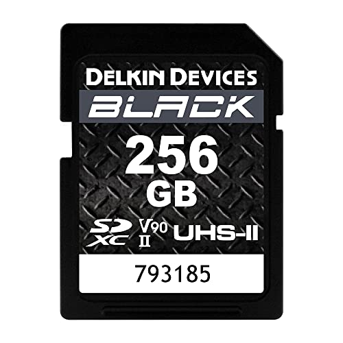 Delkin Devices Carte mémoire SDXC UHS-II (V90) Noir 256 Go