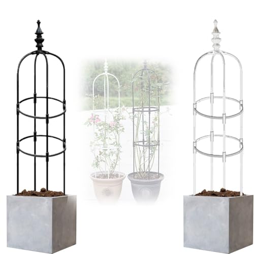 GLMGBP Treillis obélisque de Jardin 60/90/120/150/180 cm, Tour en métal Noir/Blanc pour Plantes grimpantes, Support intérieur/extérieur (Couleur : Noir, Dimensions : 23 x 120 cm)