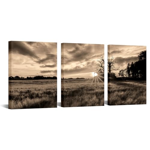 sechars Landschaftsbild mit ländlichem Sonnenuntergang, Leinwanddruck, Sepia, Landschaft, Feld, Fotomalerei für Bauernhaus, Küche, Wanddekoration